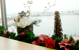 今年もスタート！阪神高速ＰＡ恒例のクリスマスツリー！！